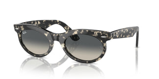 Ray-Ban RB2242 WAYFARER OVAL 133371 50