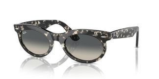 Ray-Ban RB2242 WAYFARER OVAL 133371 53