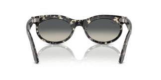Ray-Ban RB2242 WAYFARER OVAL 133371 50