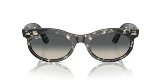 Ray-Ban RB2242 WAYFARER OVAL 133371 50