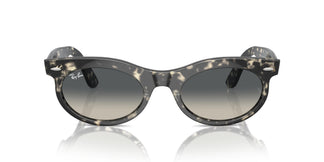 Ray-Ban RB2242 WAYFARER OVAL 133371 53