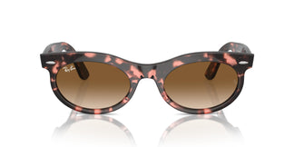 Ray-Ban RB2242 WAYFARER OVAL 133451 53