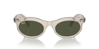 Ray-Ban RB2242 WAYFARER OVAL 138331 53