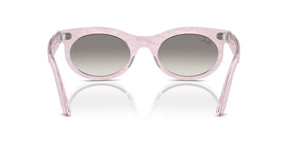 Ray-Ban RB2242 WAYFARER OVAL 138432 53