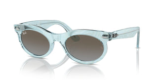 Ray-Ban RB2242 WAYFARER OVAL 138596 53