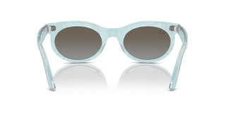 Ray-Ban RB2242 WAYFARER OVAL 138596 53