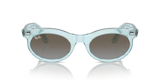 Ray-Ban RB2242 WAYFARER OVAL 138596 53