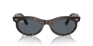 Ray-Ban RB2242 WAYFARER OVAL 902/R5 53