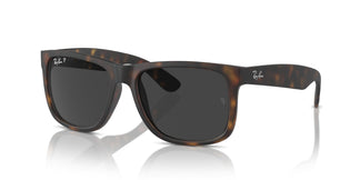 Ray-Ban RB4165 JUSTIN 865/87 54