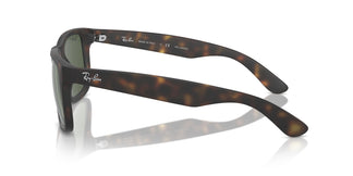 Ray-Ban RB4165 JUSTIN 865/9A 54