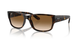 Ray-Ban RB4388 710/51 58