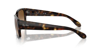 Ray-Ban RB4388 710/51 58