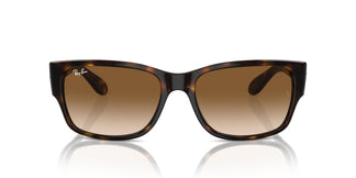 Ray-Ban RB4388 710/51 58