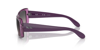 Ray-Ban RB4389 6443M3 58