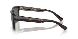 Ray-Ban RB4396 WARREN 135971 57