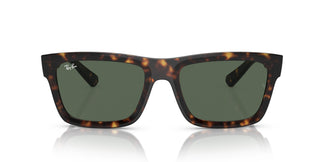 Ray-Ban RB4396 WARREN 135971 54