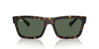 Ray-Ban RB4396 WARREN 135971 57