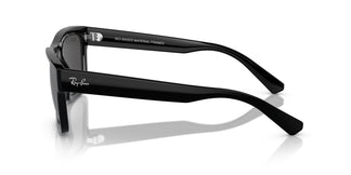 Ray-Ban RB4396 WARREN 667787 54