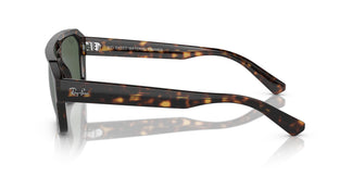 Ray-Ban RB4397 CORRIGAN 135971 54