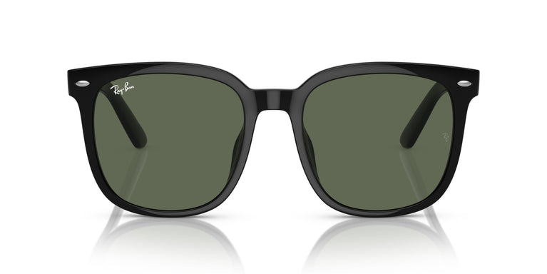 Ray-Ban RB4401D 601/71 55