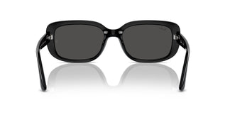 Ray-Ban RB4421D 667787 56