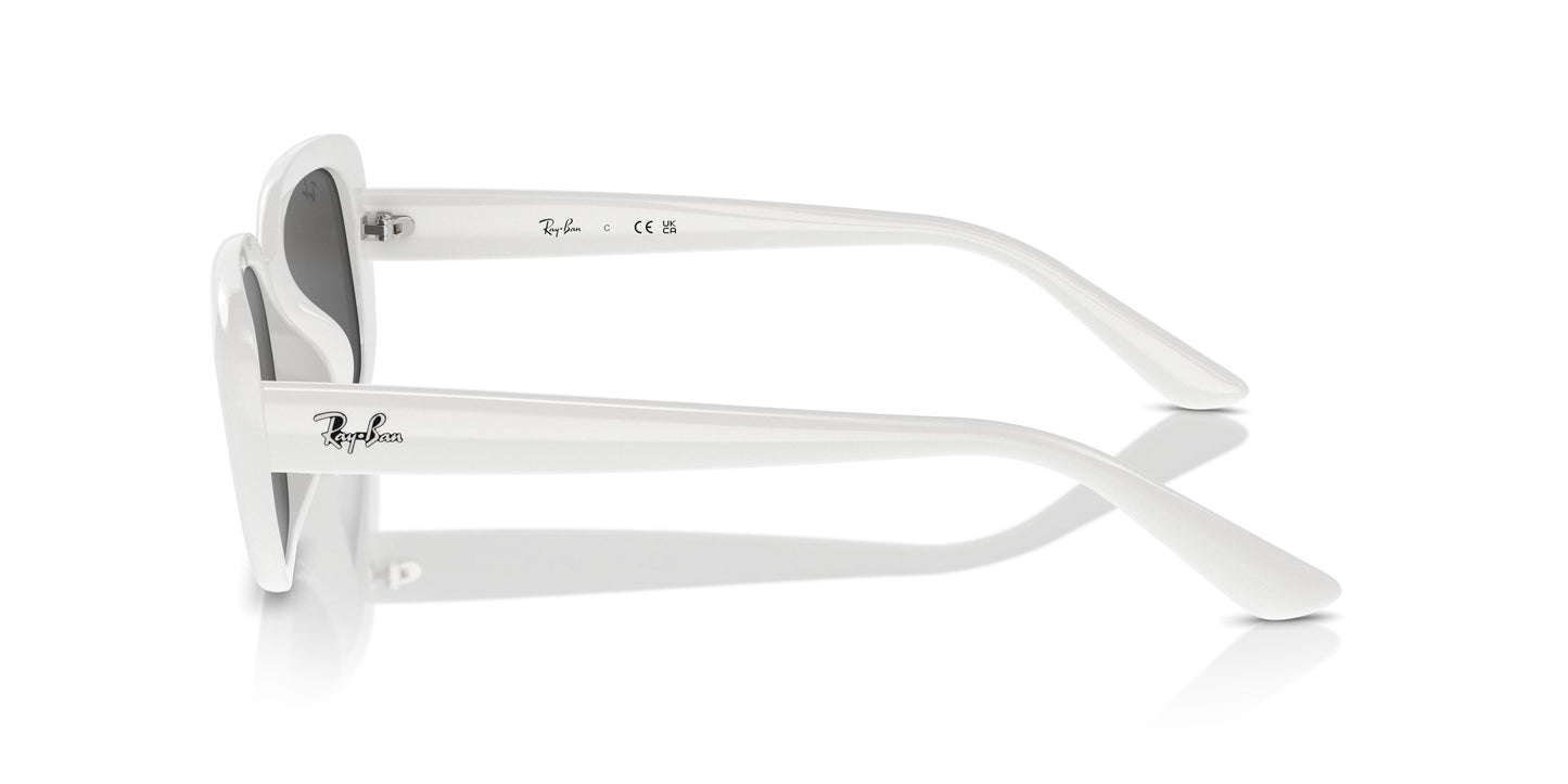 Ray-Ban RB4421D 677287 56