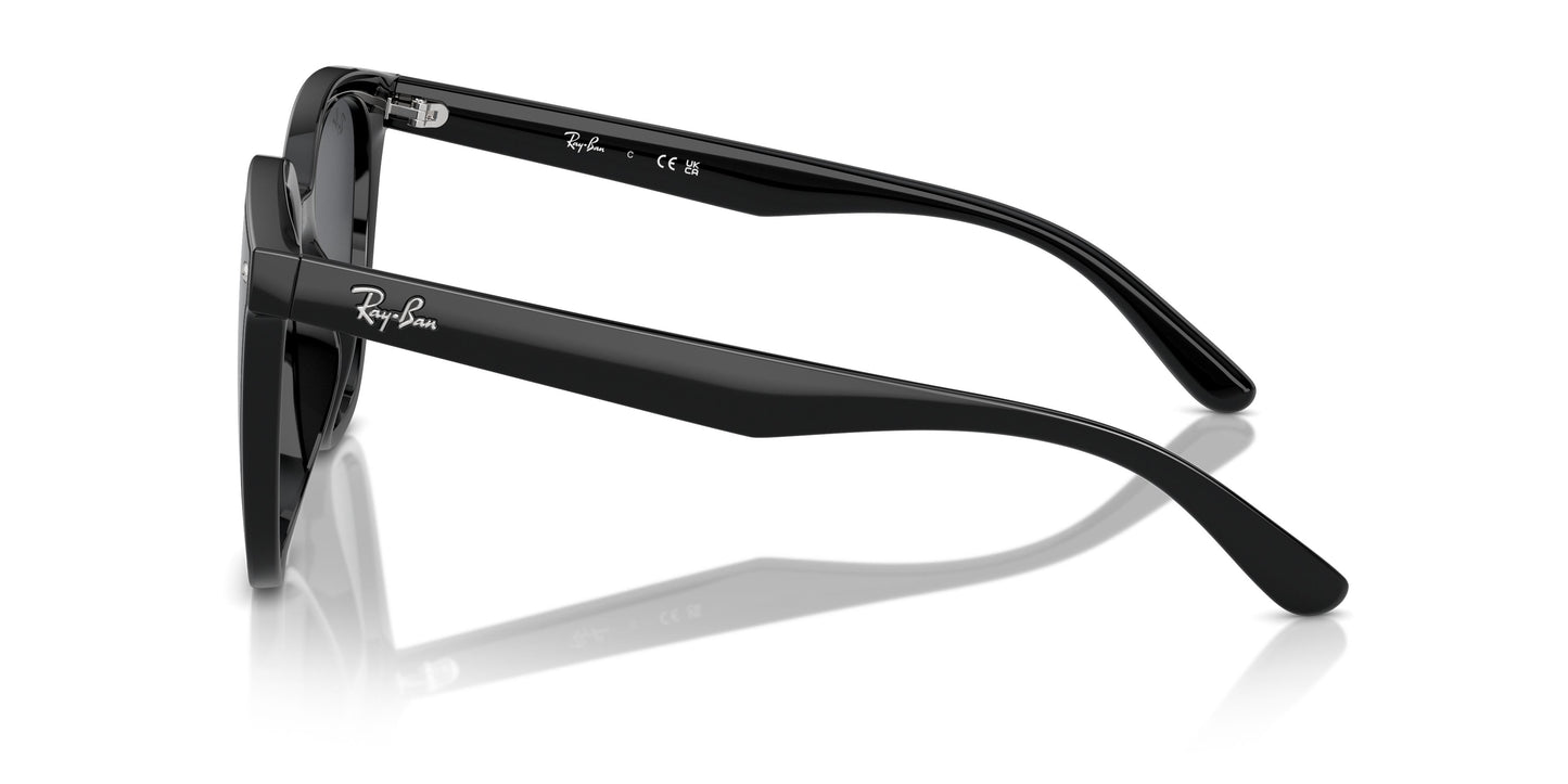 Ray-Ban RB4423D 601/87 66