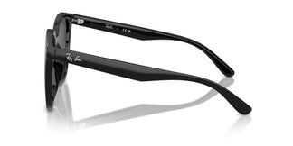 Ray-Ban RB4423D 601/87 66