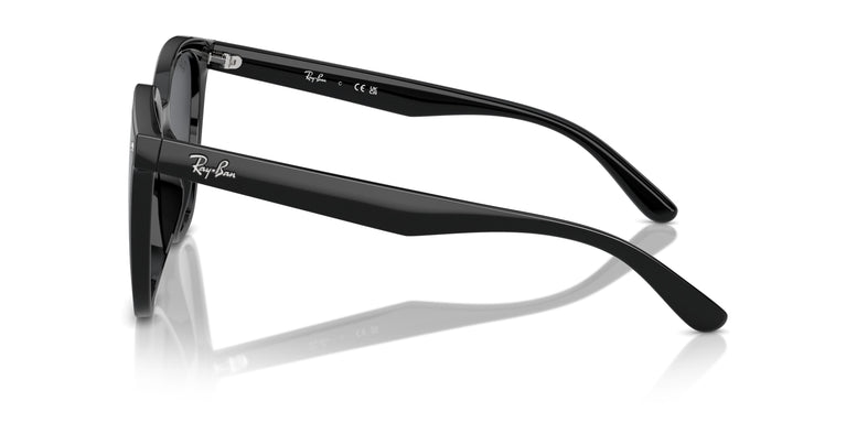 Ray-Ban RB4423D 601/87 66