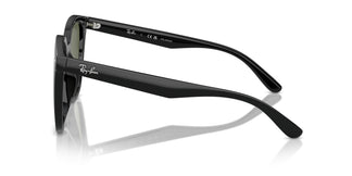 Ray-Ban RB4423D 601/9A 66