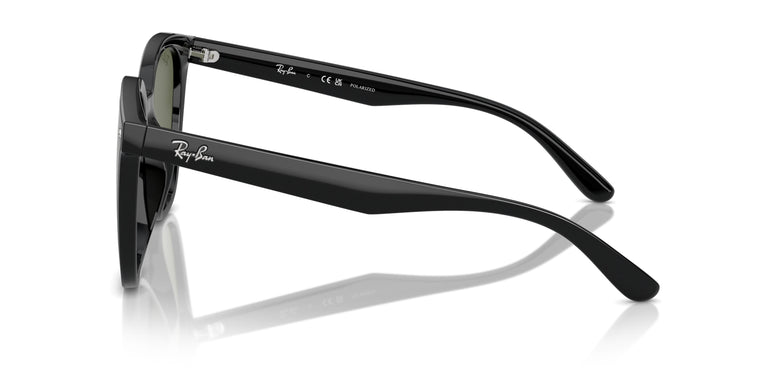 Ray-Ban RB4423D 601/9A 66