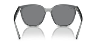 Ray-Ban RB4423D 645087 66