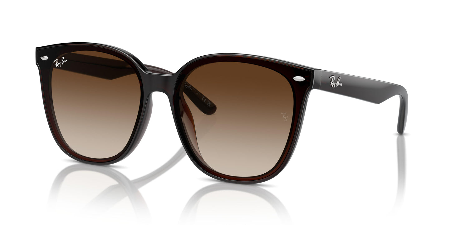 Ray-Ban RB4423D 714/13 66
