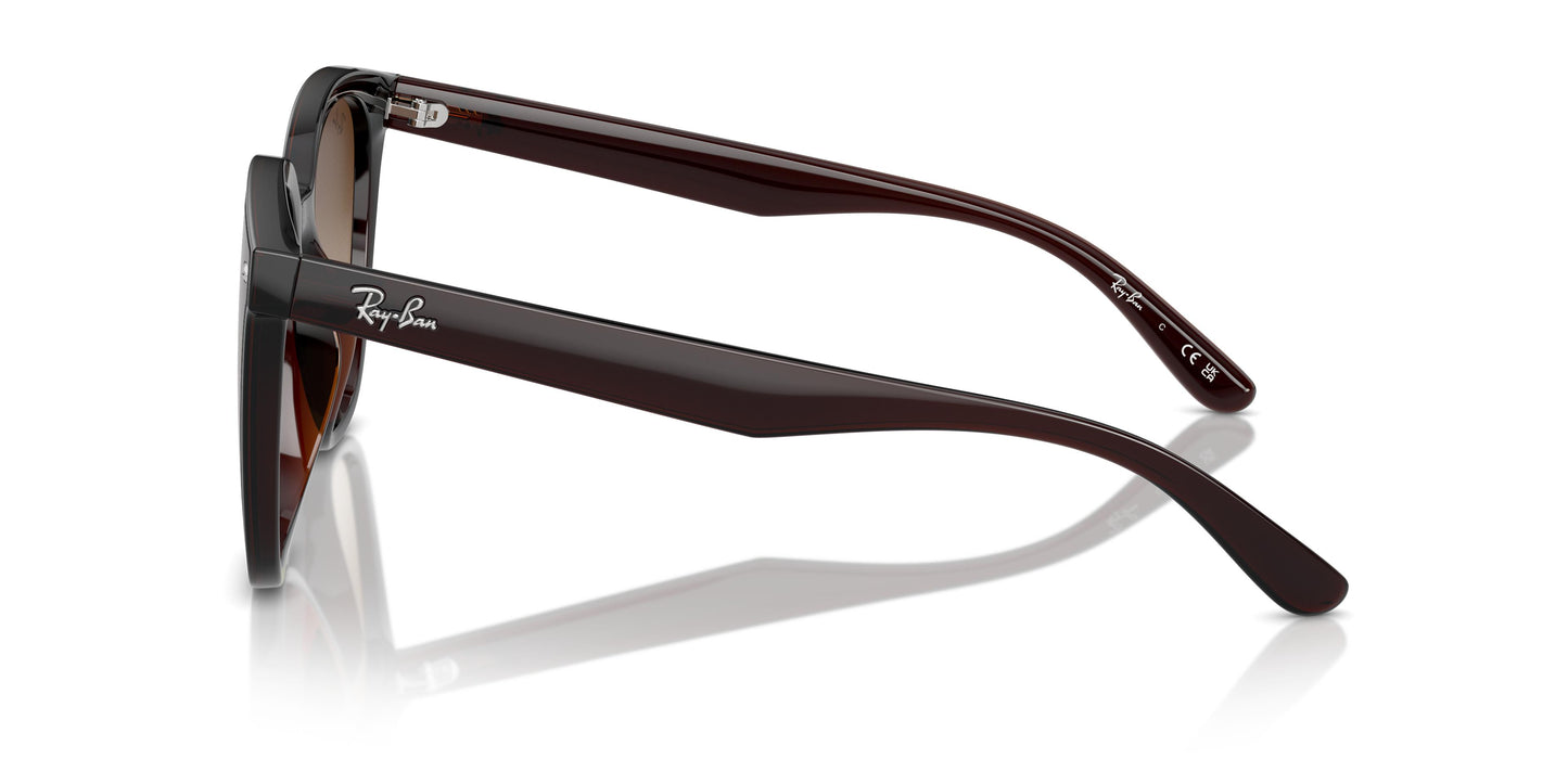 Ray-Ban RB4423D 714/13 66