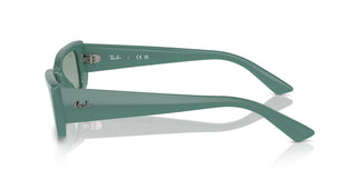 Ray-Ban RB4425 TERU 676282 54