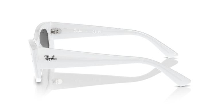 Ray-Ban RB4427 KAT 675911 49