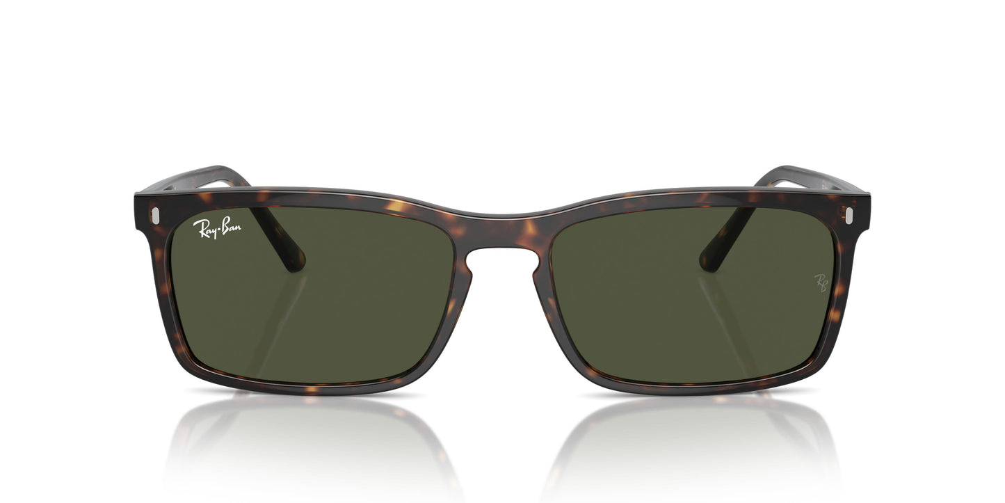 Ray-Ban RB4435 902/31 56
