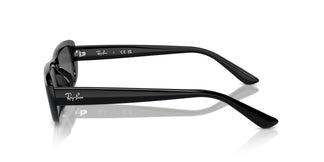 Ray-Ban RB4436D 667787 55