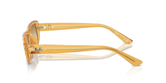 Ray-Ban RB4436D 668213 55