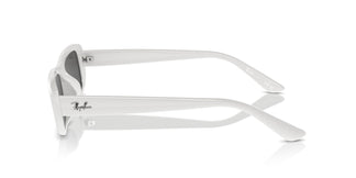 Ray-Ban RB4436D 677287 55