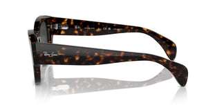 Ray-Ban RB7681S JORGE 902/48 52