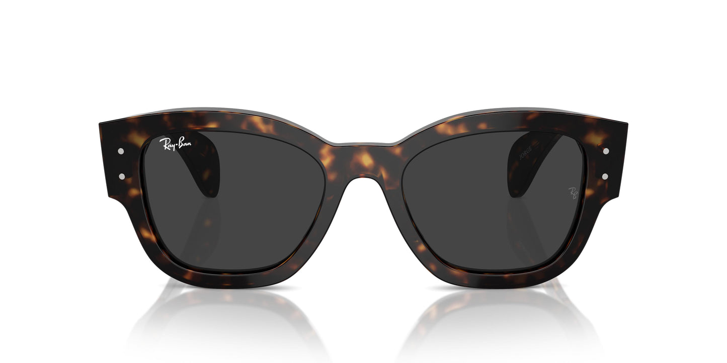 Ray-Ban RB7681S JORGE 902/48 52