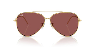Ray-Ban RBR0101S AVIATOR REVERSE 001/69 59