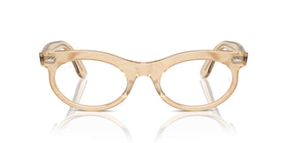 Ray-Ban RX2242V WAYFARER OVAL 8294 50