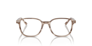 Ray-Ban RX5393 LEONARD 8357 51