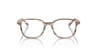 Ray-Ban RX5393 LEONARD 8357 49