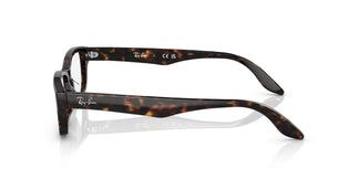 Ray-Ban RX5415D 2012 55