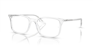 Ray-Ban RX5421 2001 55
