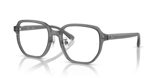 Ray-Ban RX5424D 8268 54