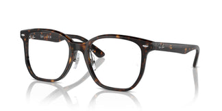 Ray-Ban RX5425D 2012 54
